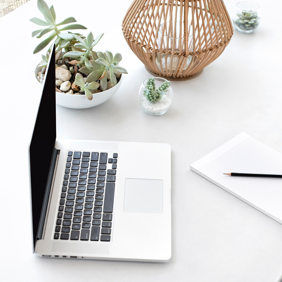 Styled wellness workspace